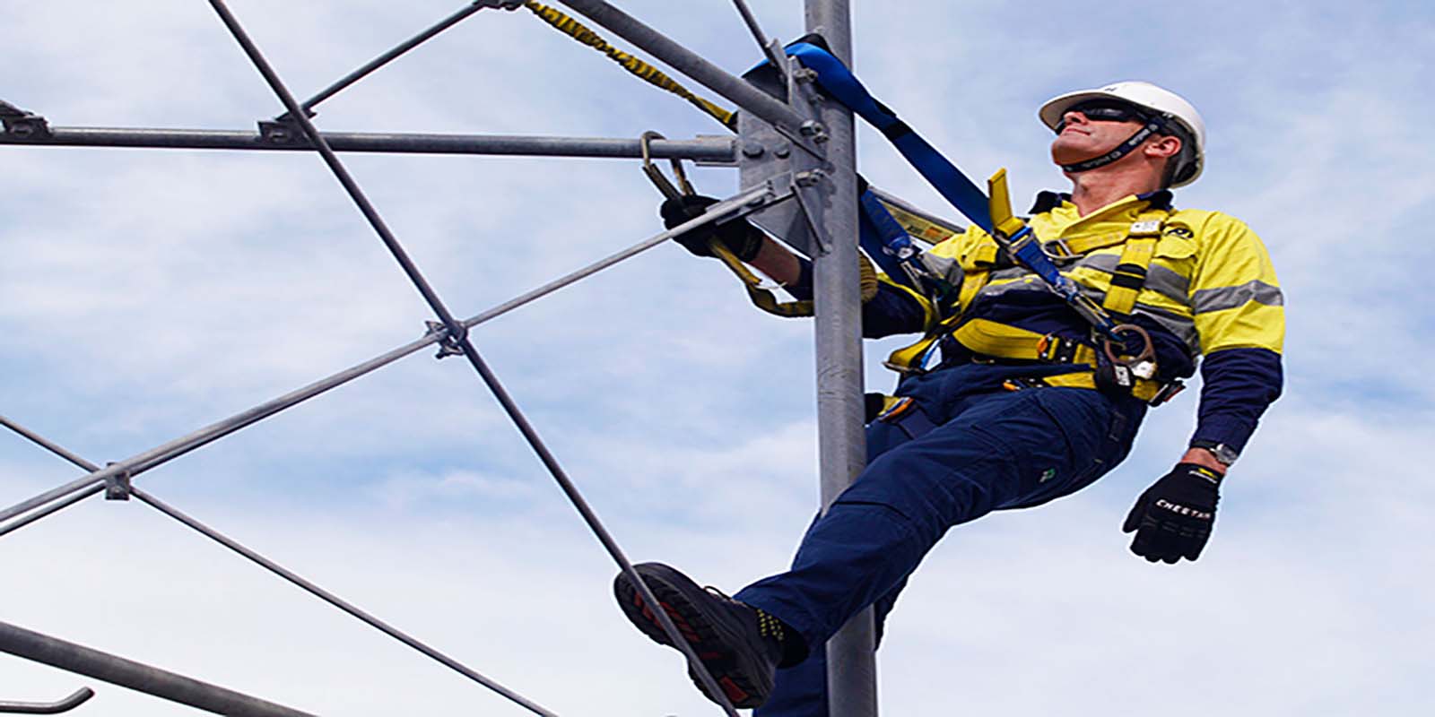 distribucion y servicios jas