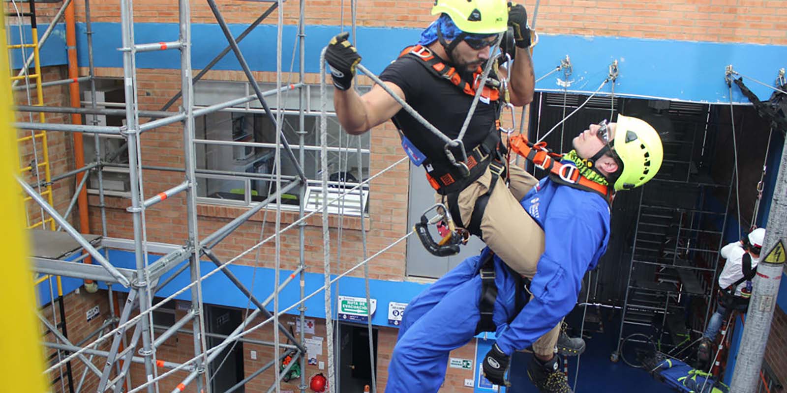 distribucion y servicios jas